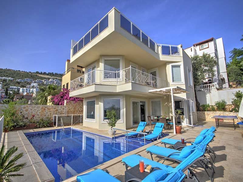 Villa Başkan