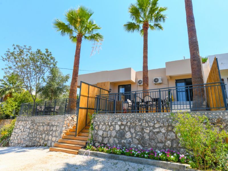 Villa Palm 2